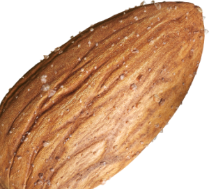 Almond Trio Left