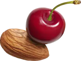 Almond Toasted Cherries