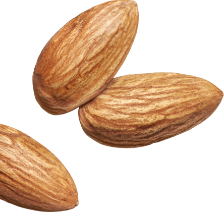 Almond Trio Left